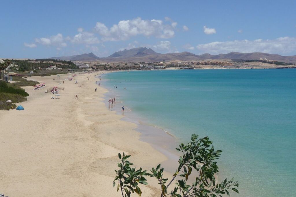 Photo of Others in Bahia Calma