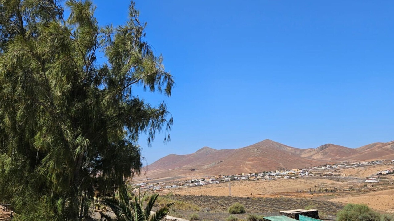 Photo of Others in Tiscamanita