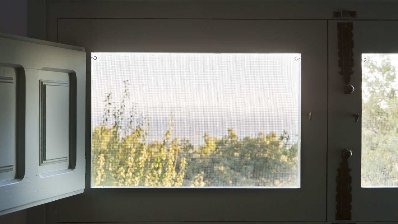 Photo of Others in El Raso