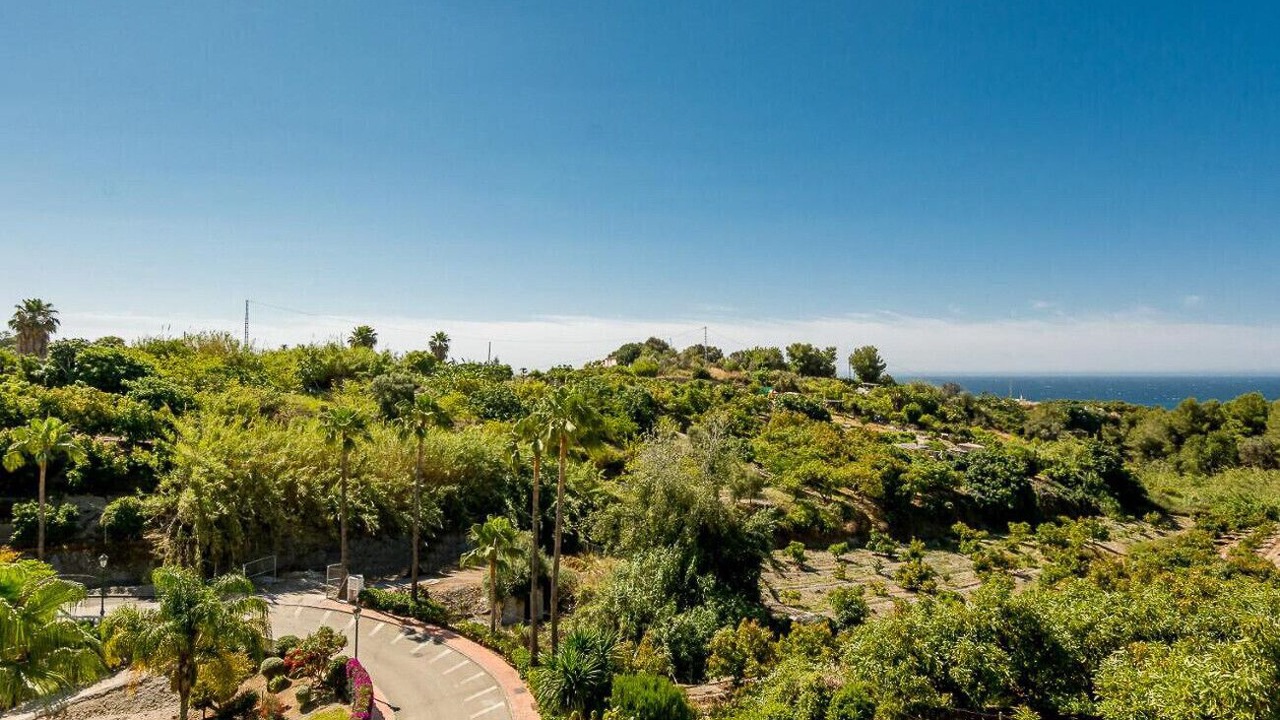 Photo of Others in Oasis del Capistrano