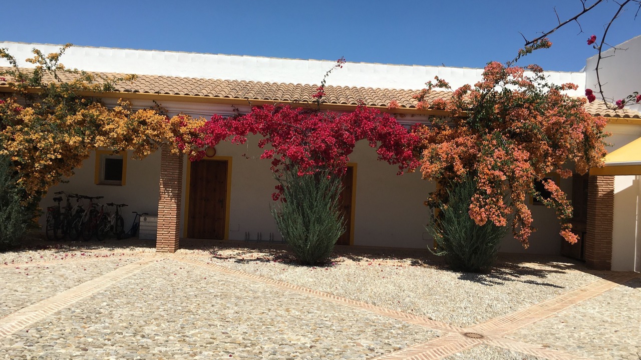 Photo of Outdoor in Villamartin