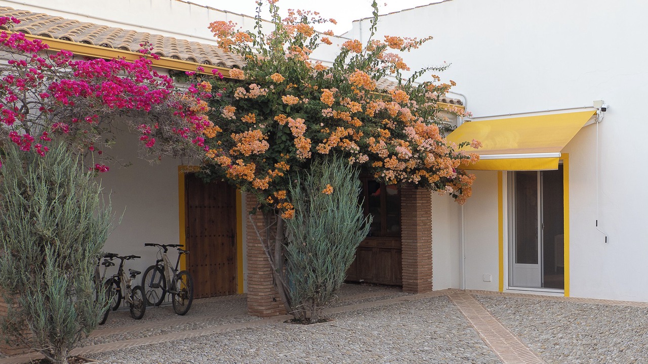 Photo of Outdoor in Villamartin