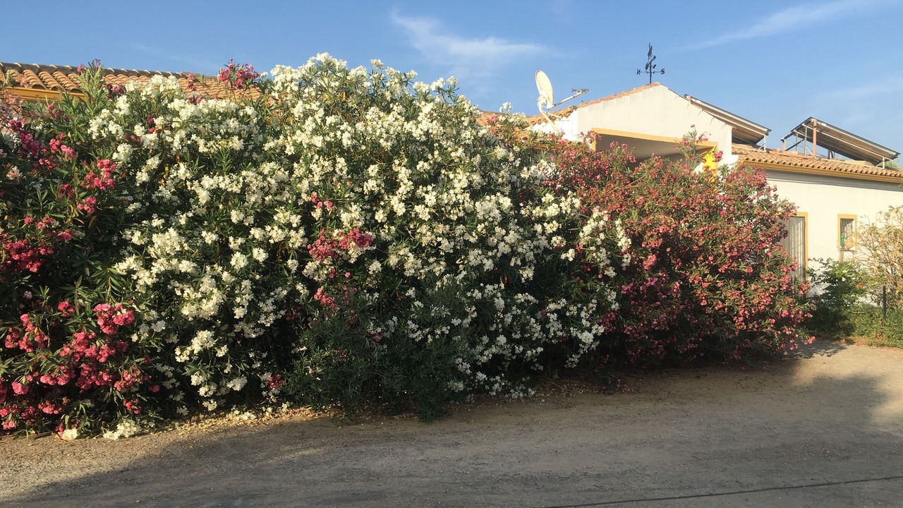 Photo of Outdoor in Villamartin