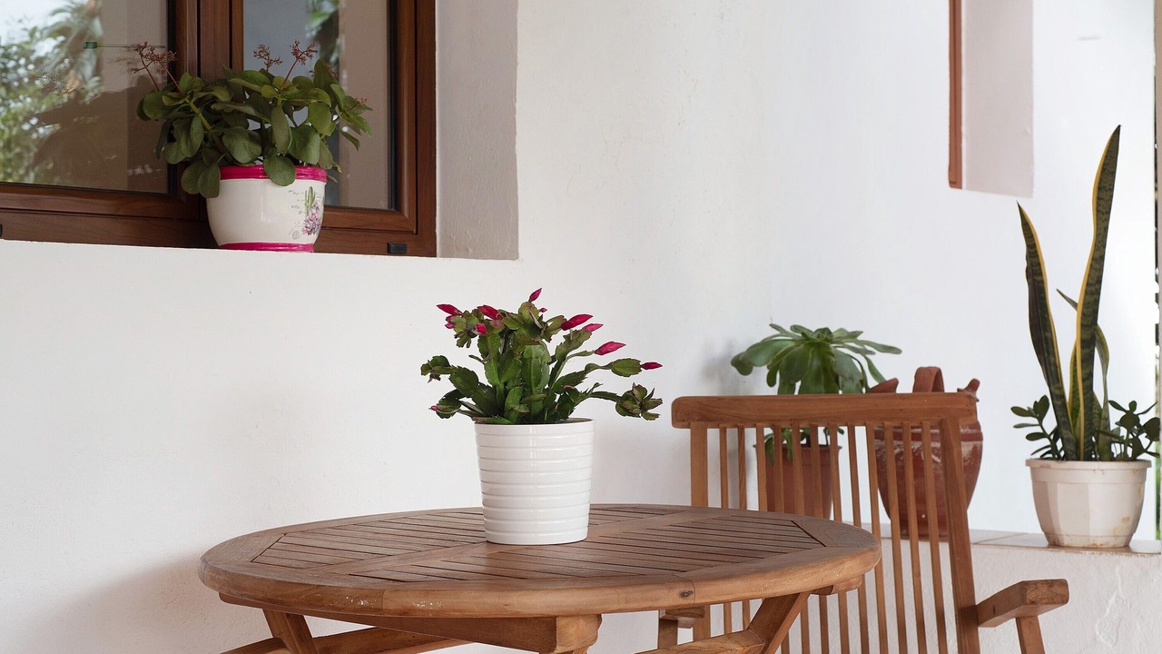 Photo of Outdoor in Valleseco