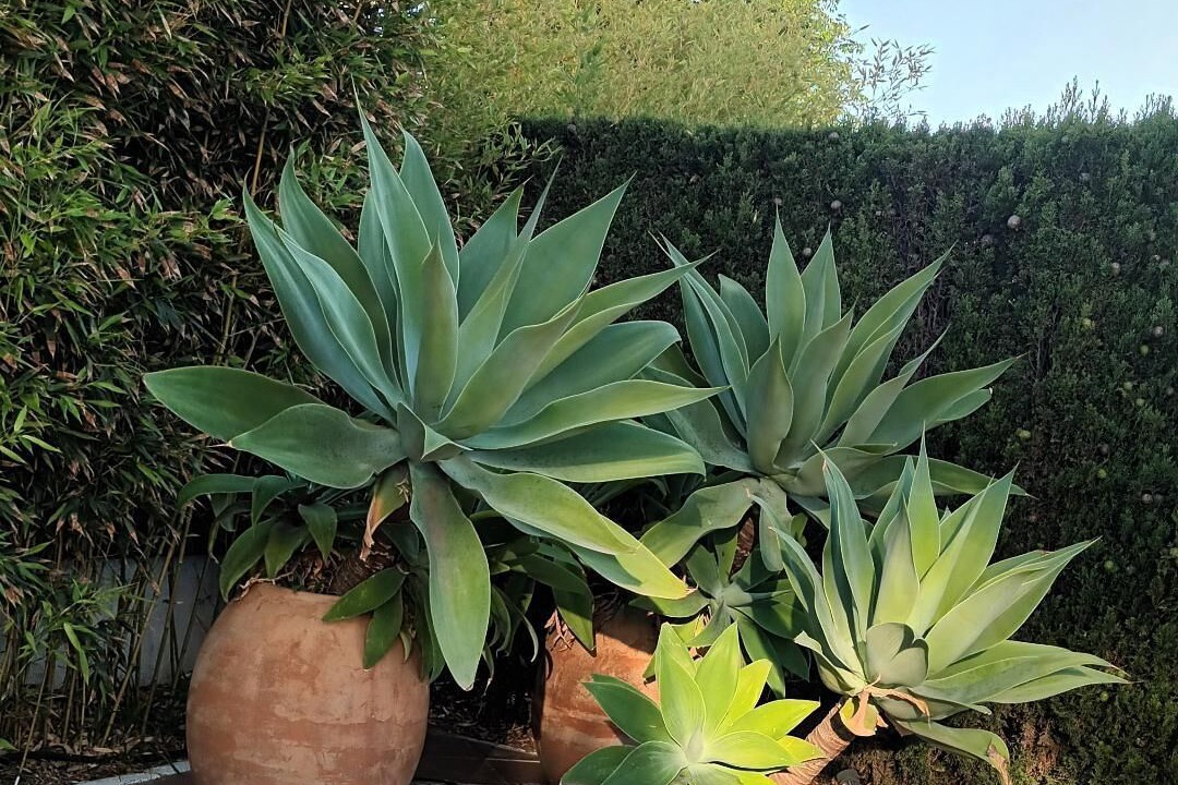 Photo of Outdoor in El Rompido