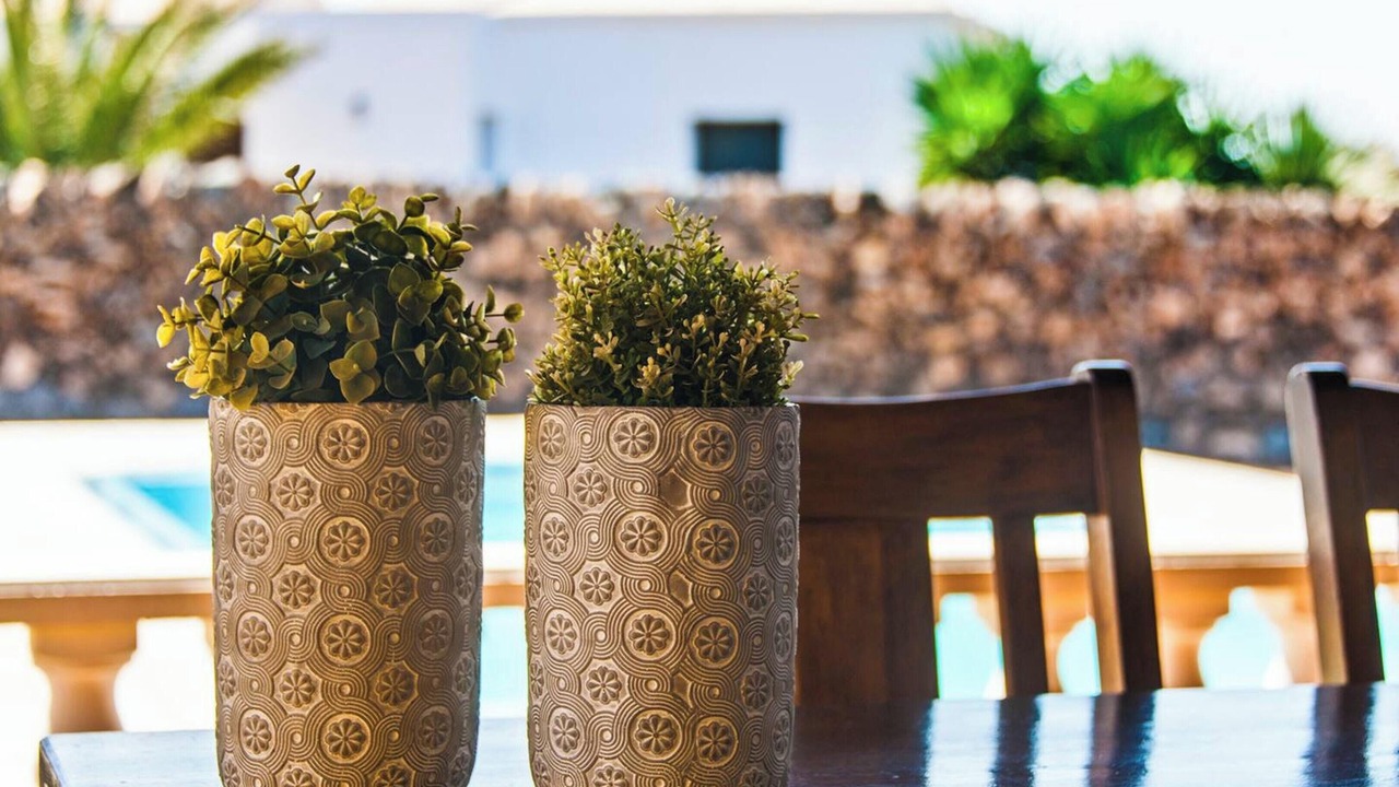 Photo of Outdoor in La Oliva