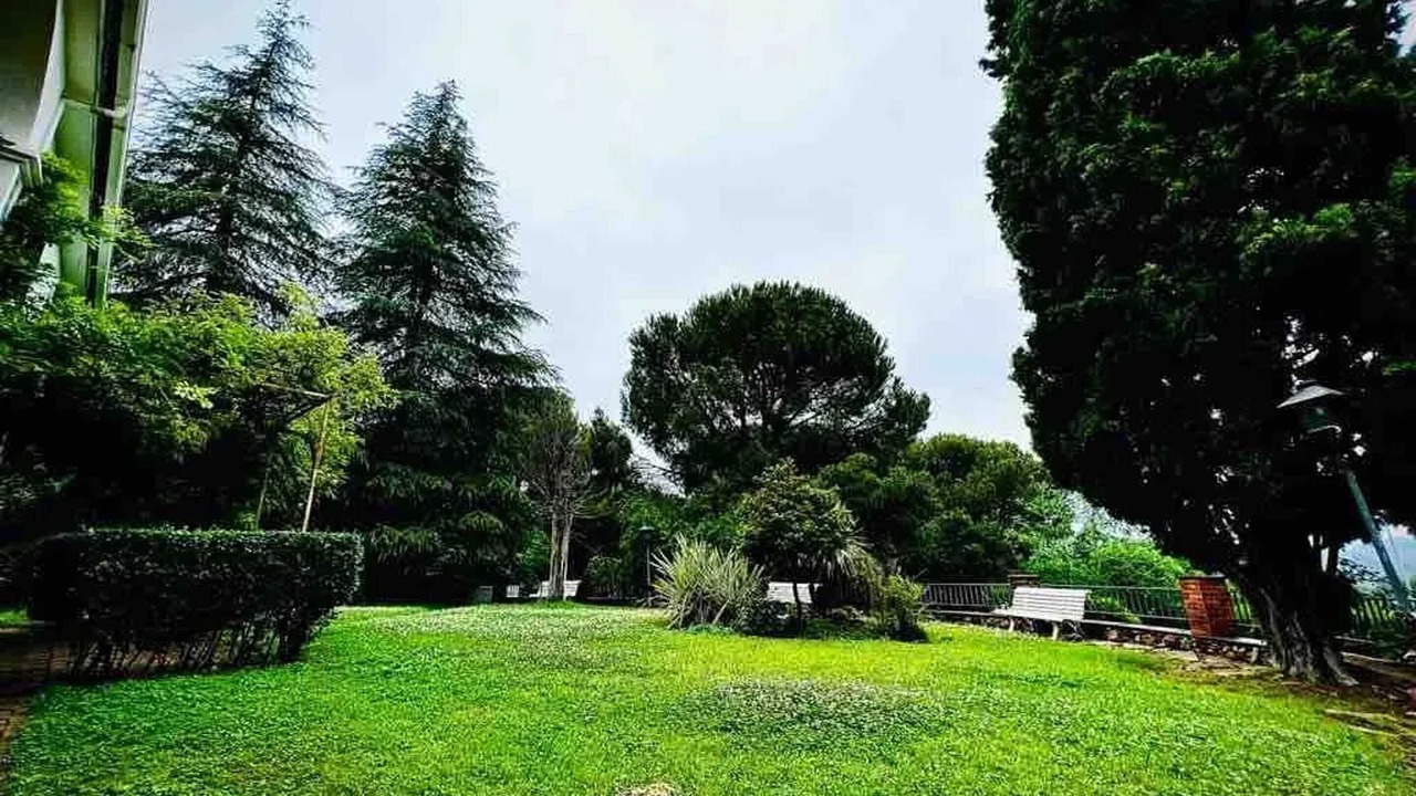 Photo of Outdoor in Las Jaras