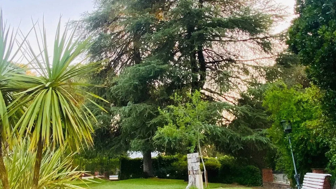 Photo of Outdoor in Las Jaras