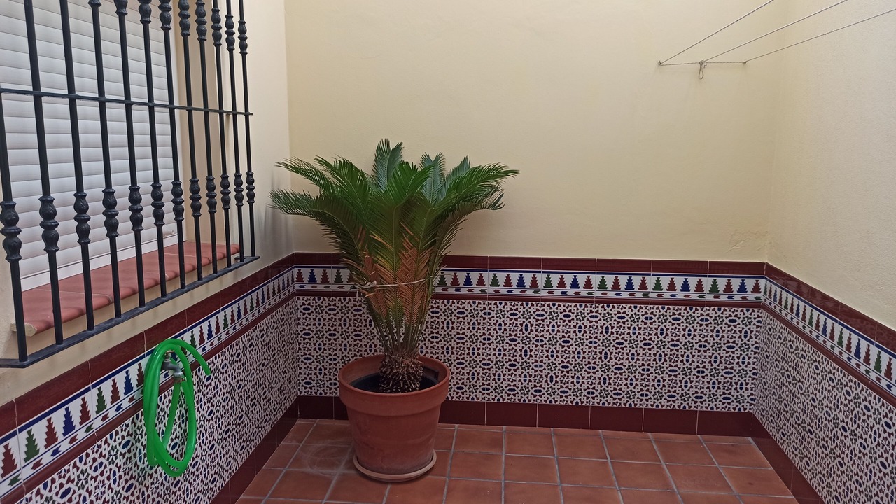 Photo of Outdoor in Villamartin