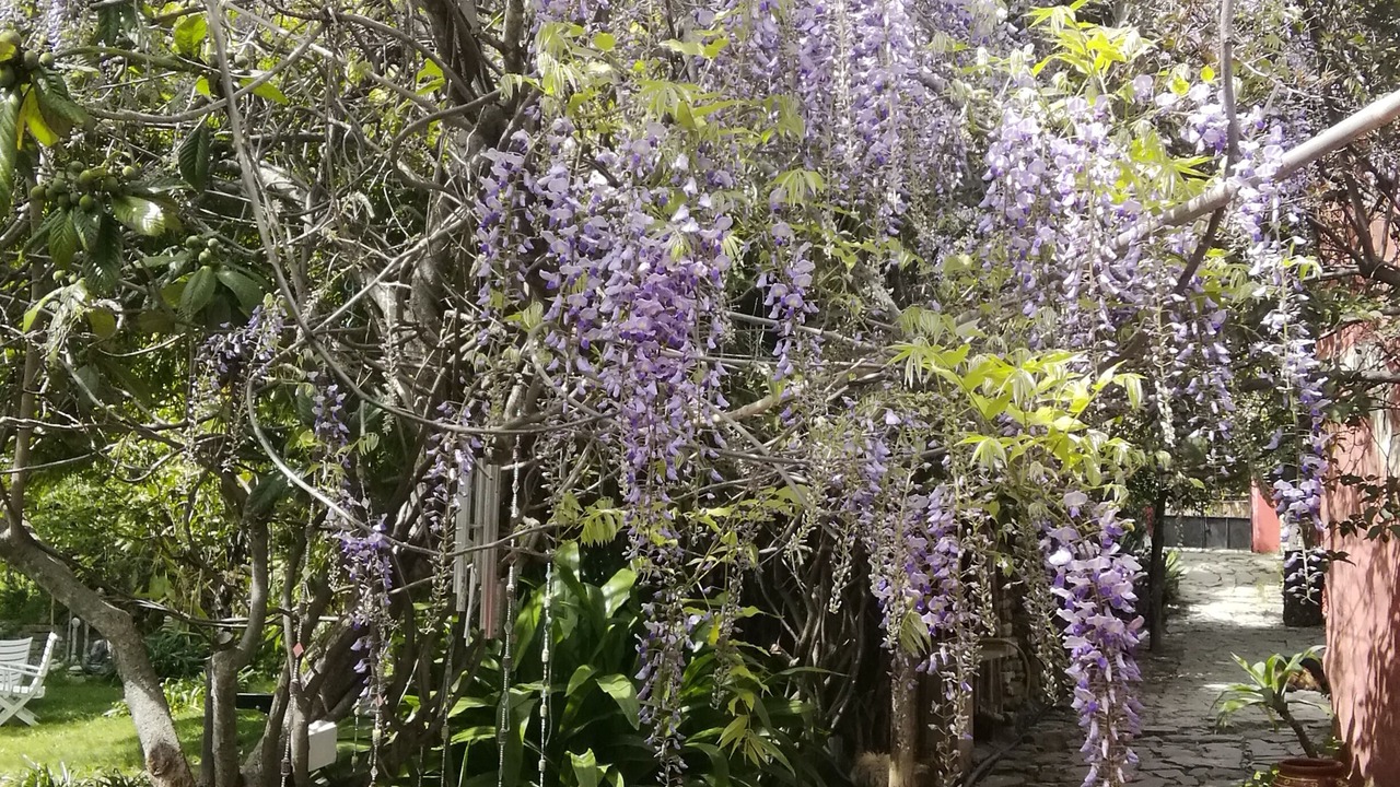 Photo of Outdoor in Gaucin