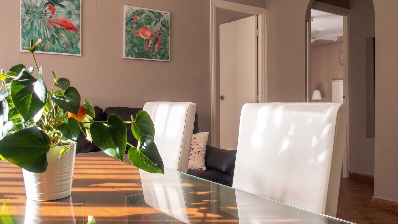 Photo of Livingroom in Ayamonte