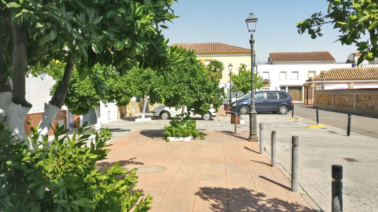 Photo of Others in Encinarejo de Cordoba