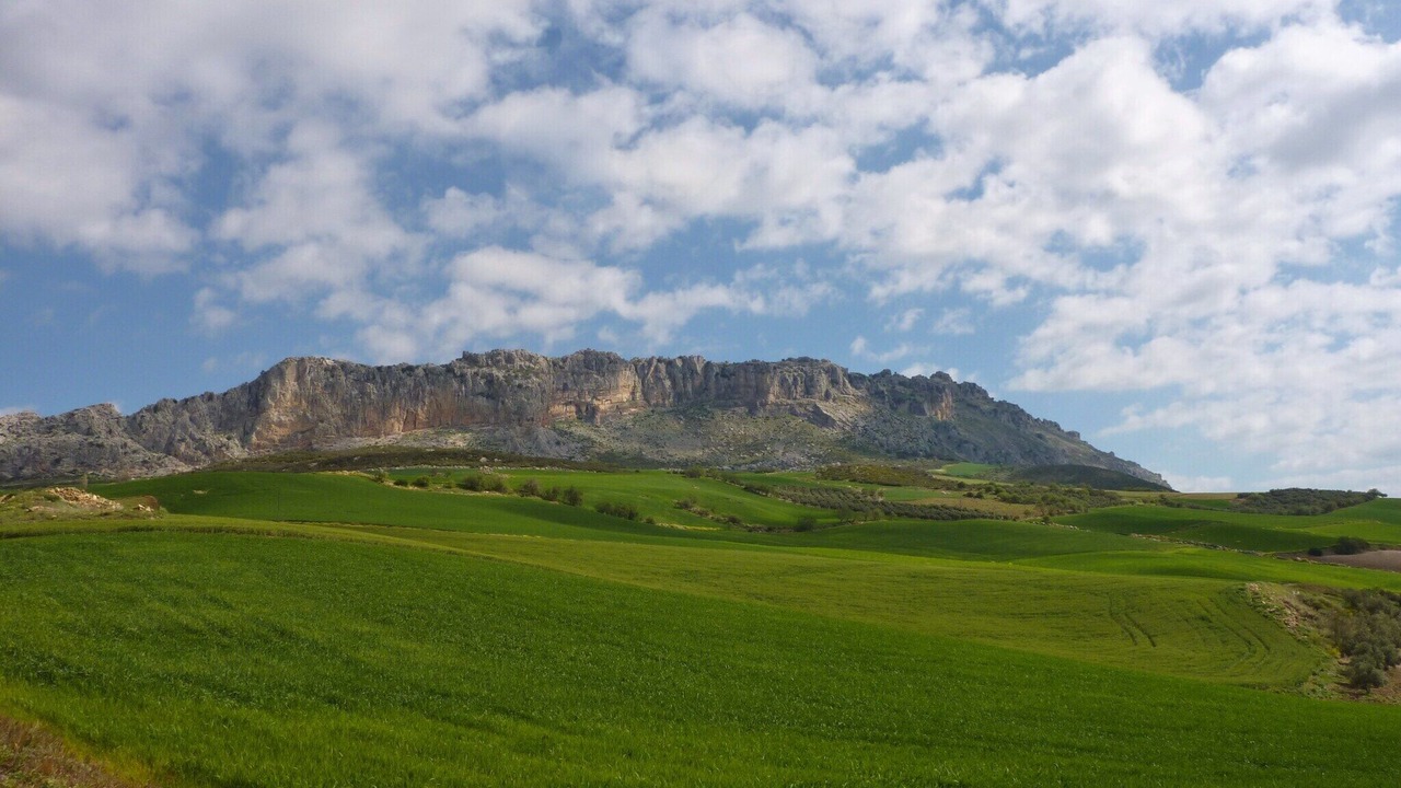 Photo of Others in Antequera