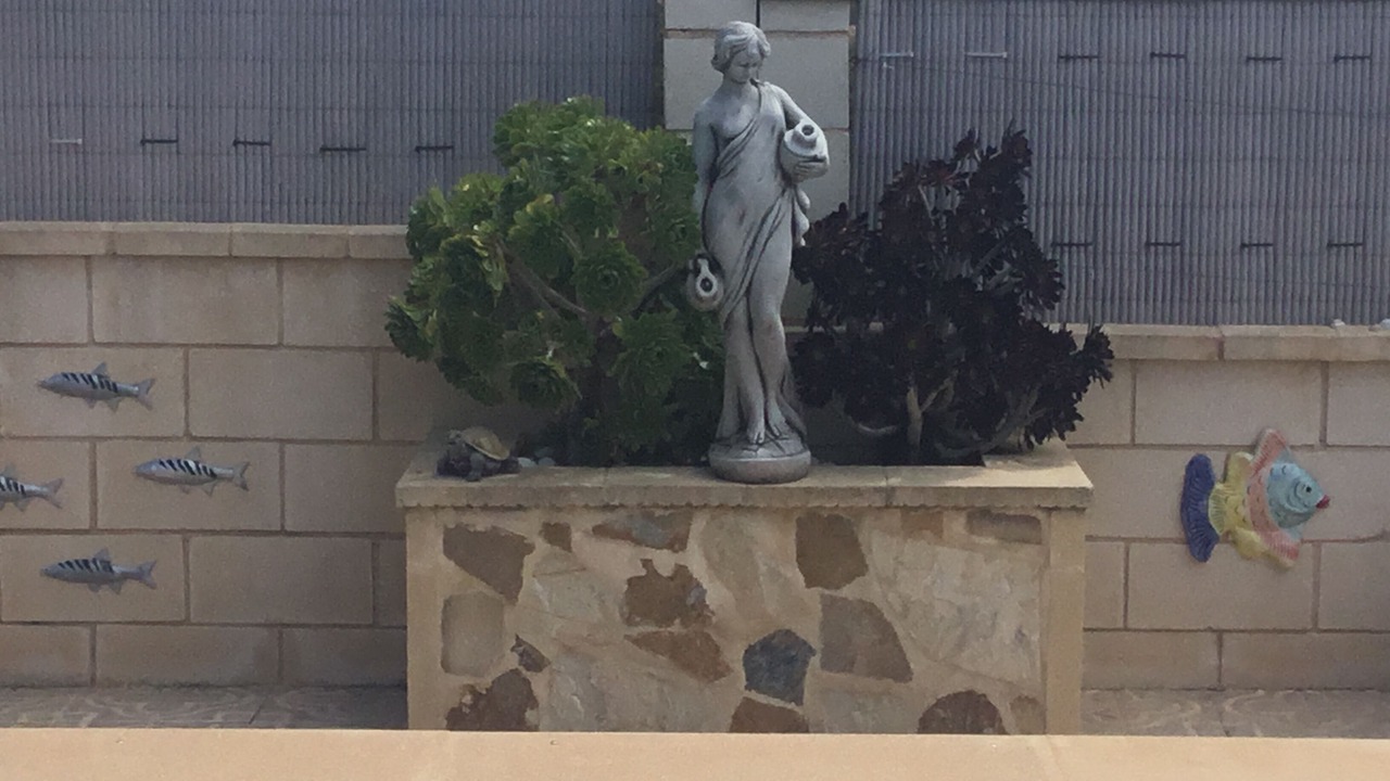 Photo of Outdoor in San Fulgencio