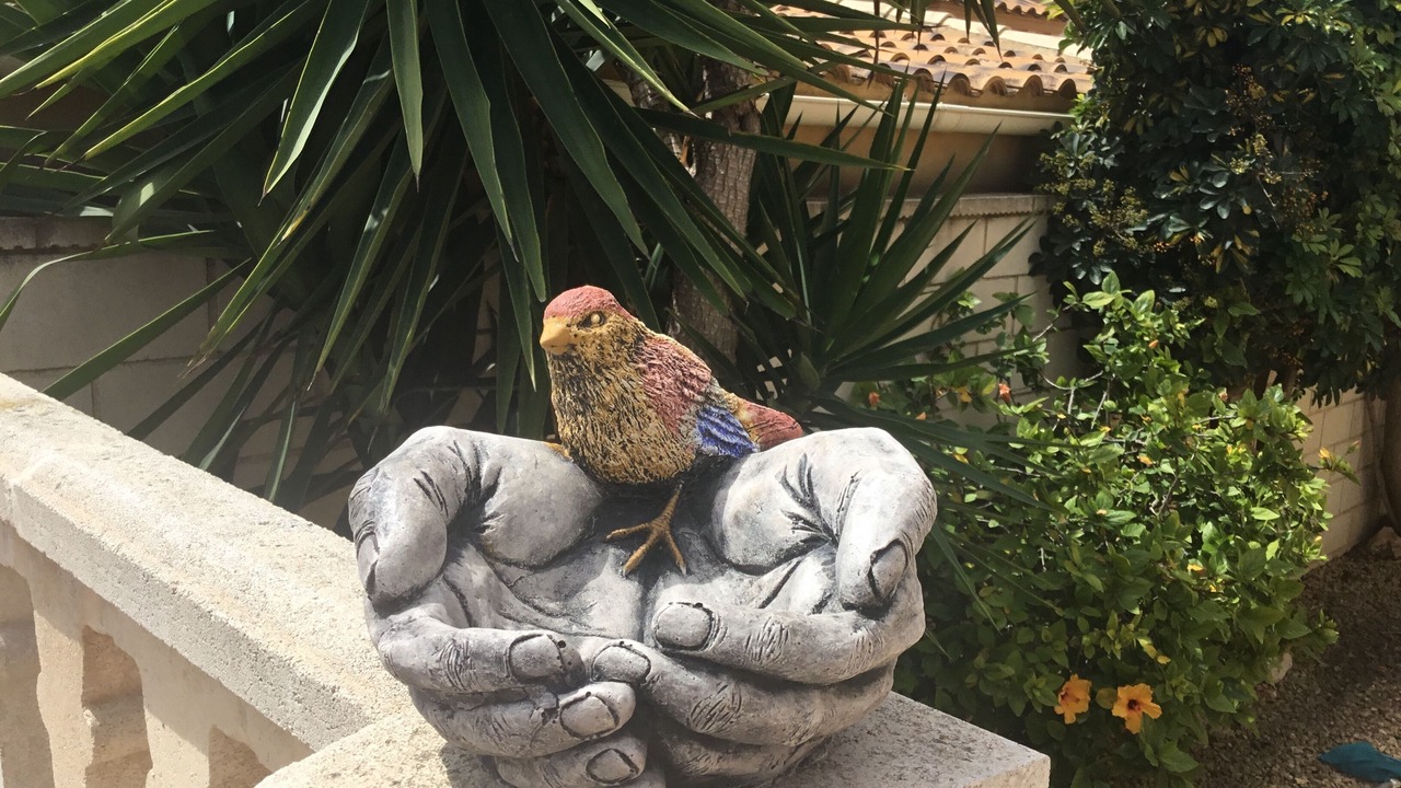 Photo of Outdoor in San Fulgencio