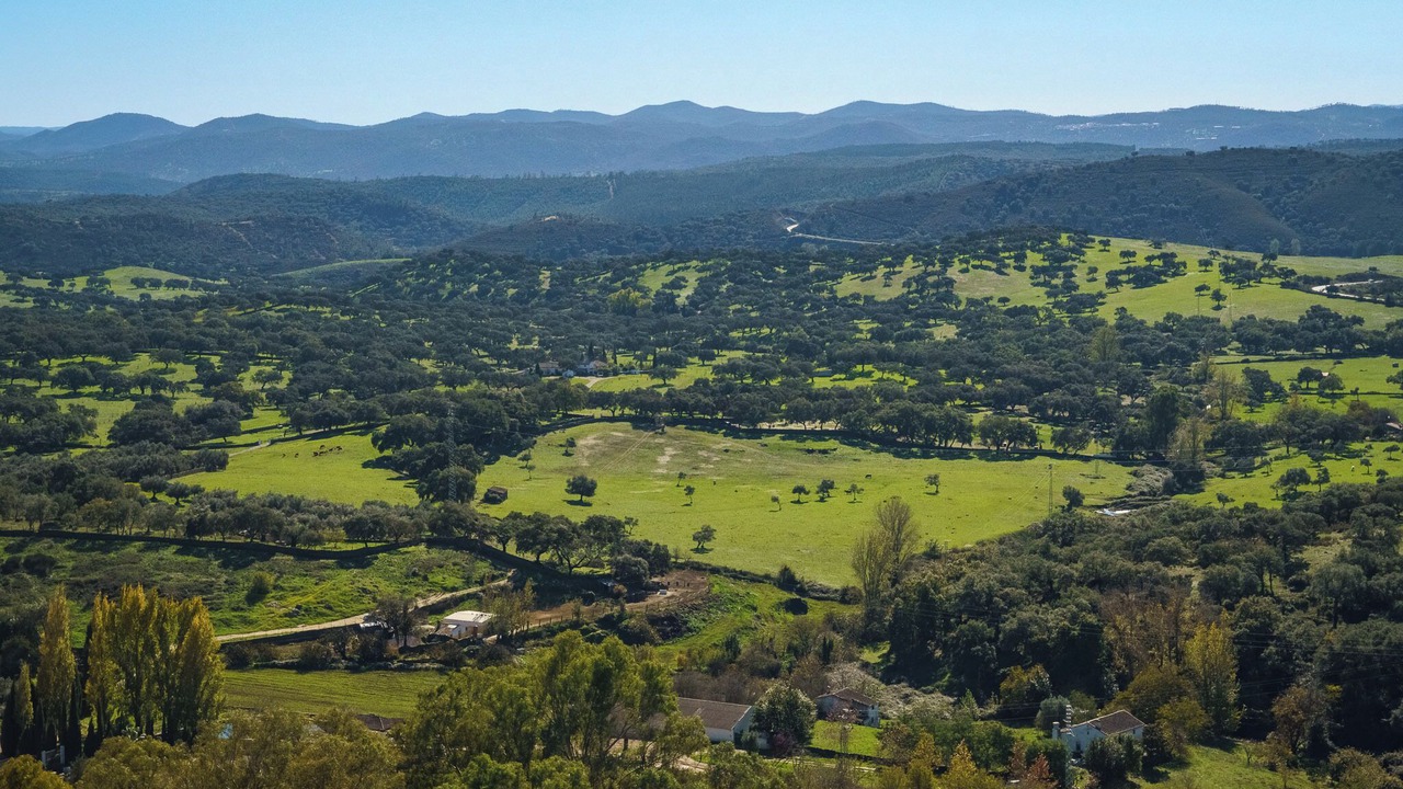 Photo of Others in Aracena