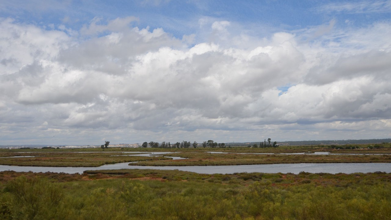 Photo of Others in Punta del Moral