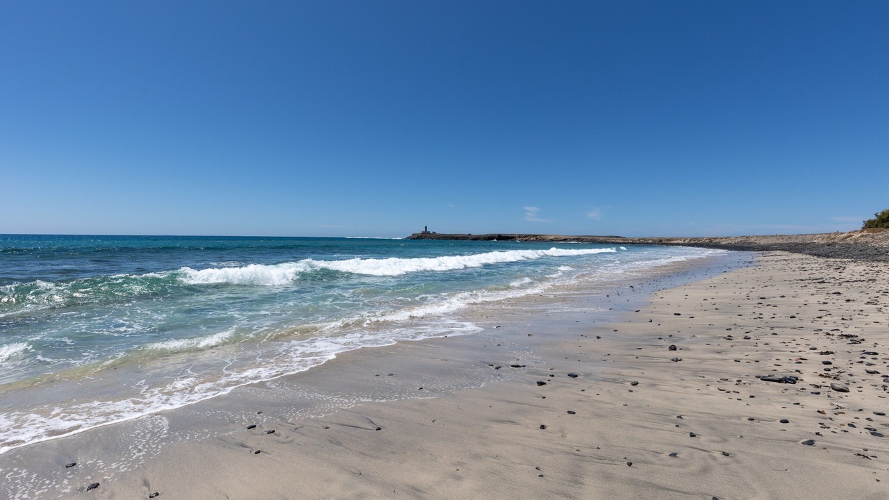 Photo of Others in Puerto de la Cruz