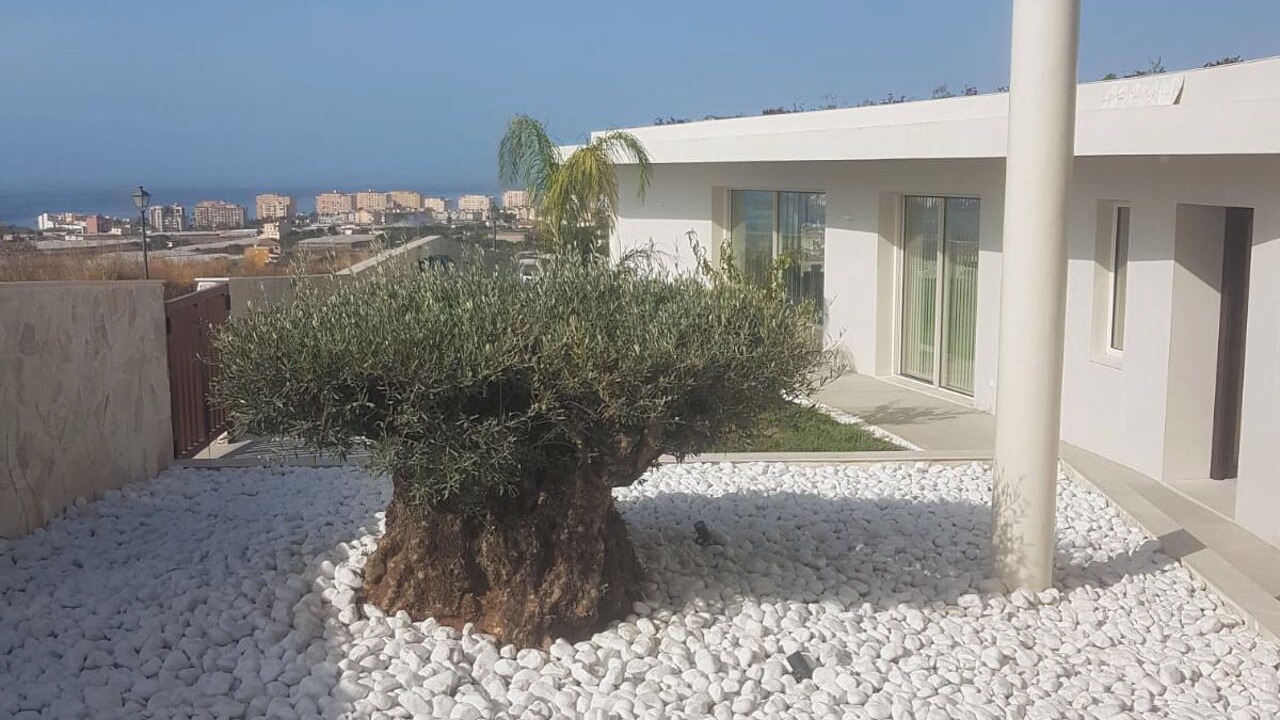 Photo of Outdoor in Torrox Costa