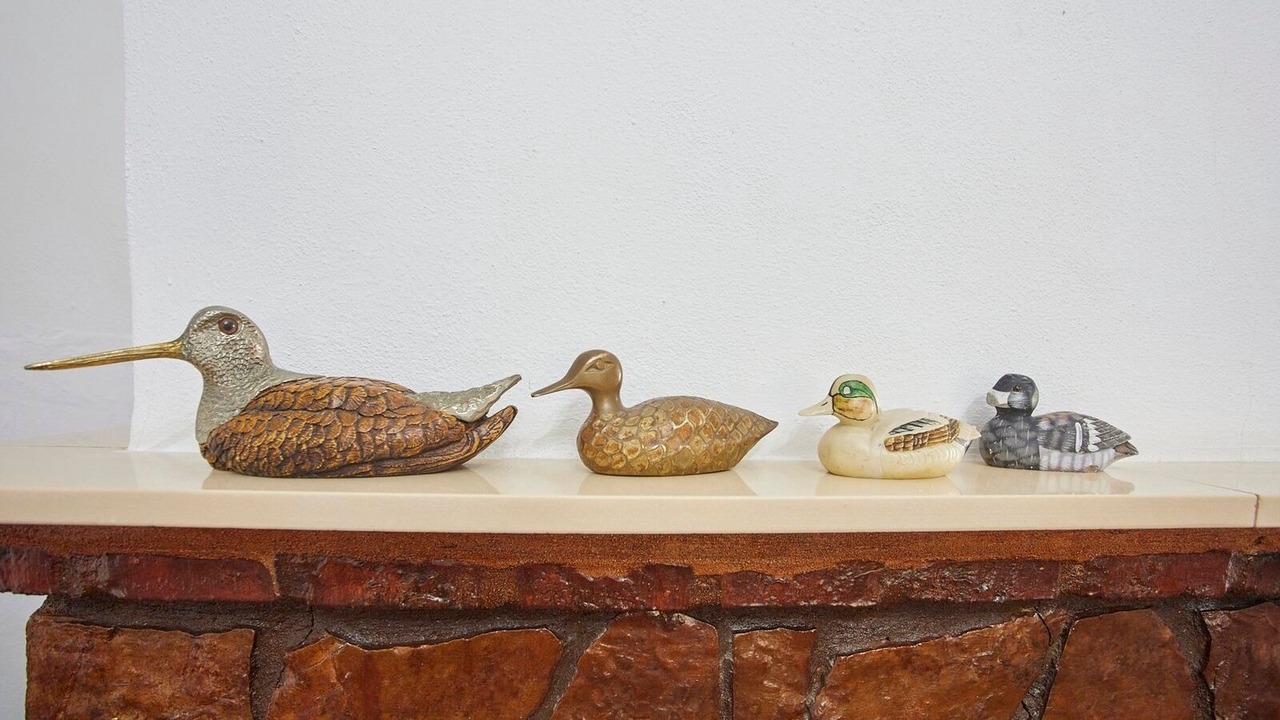 Photo of Others in Villamartin
