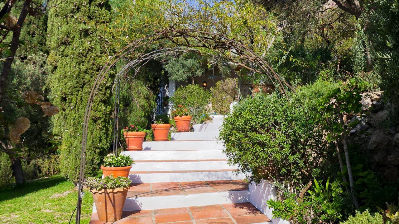 Photo of Others in Frigiliana