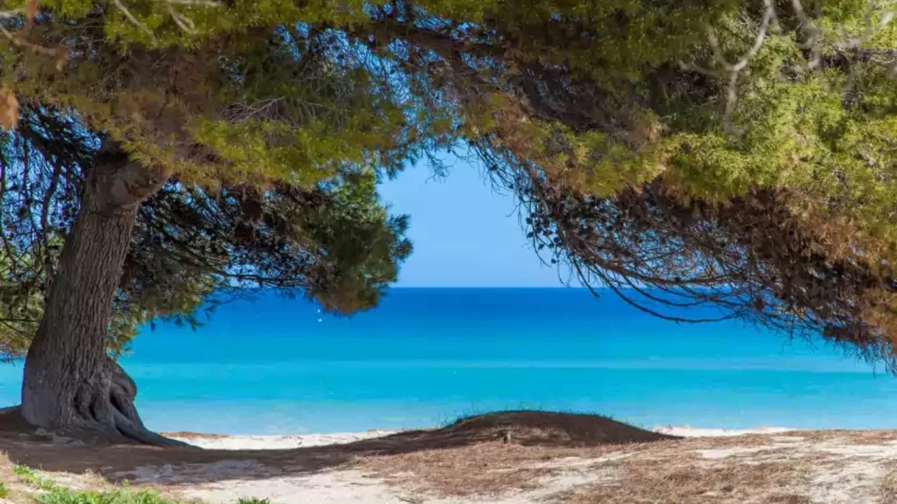 Photo of Others in Majorca