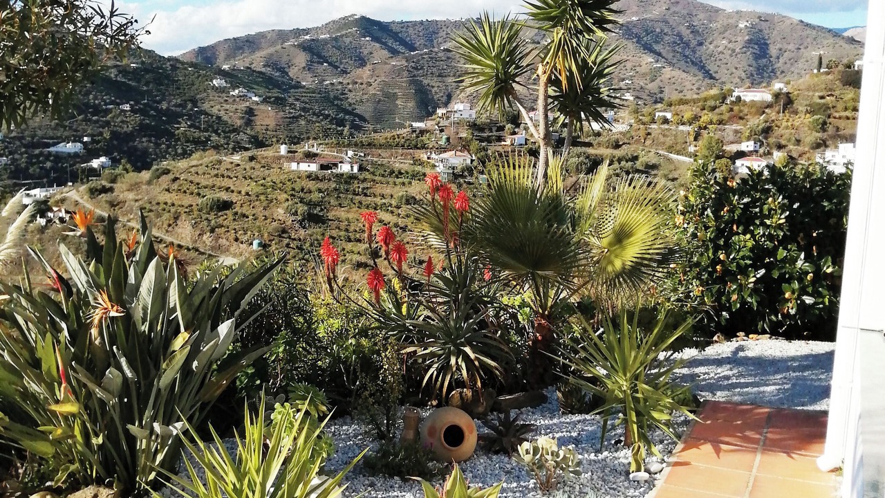 Photo of Outdoor in Torrox
