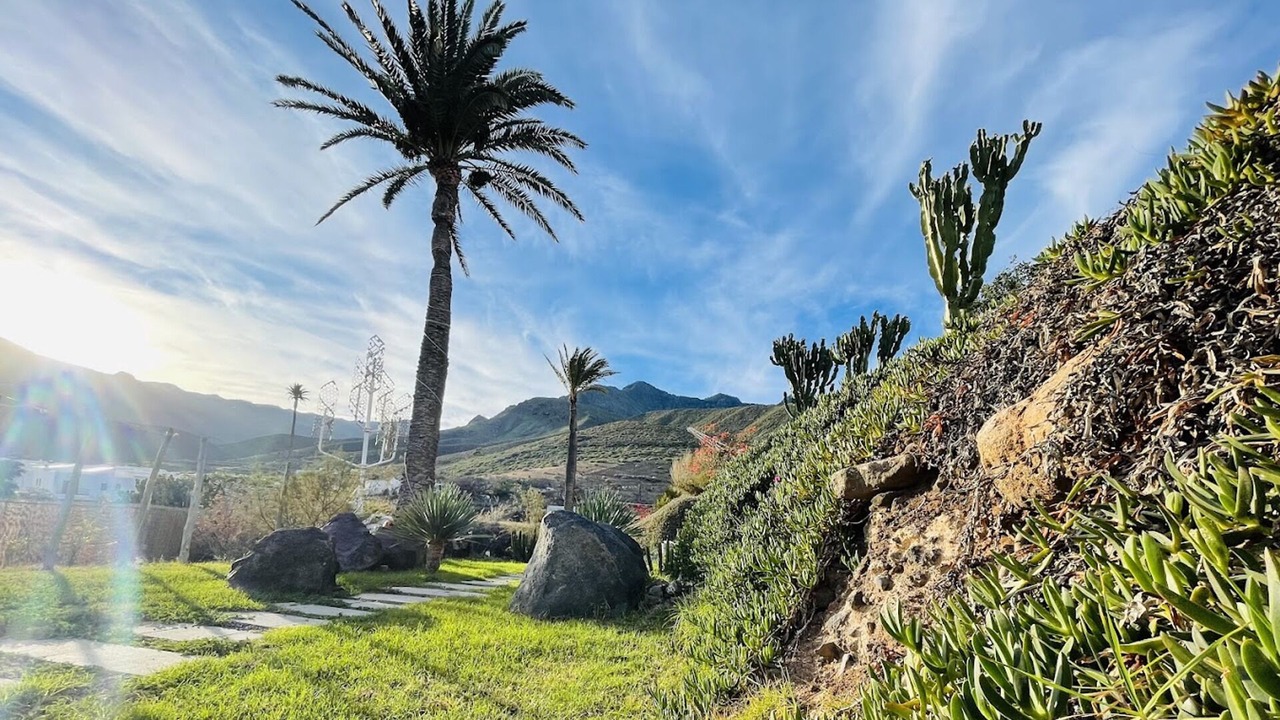 Photo of Outdoor in Agaete