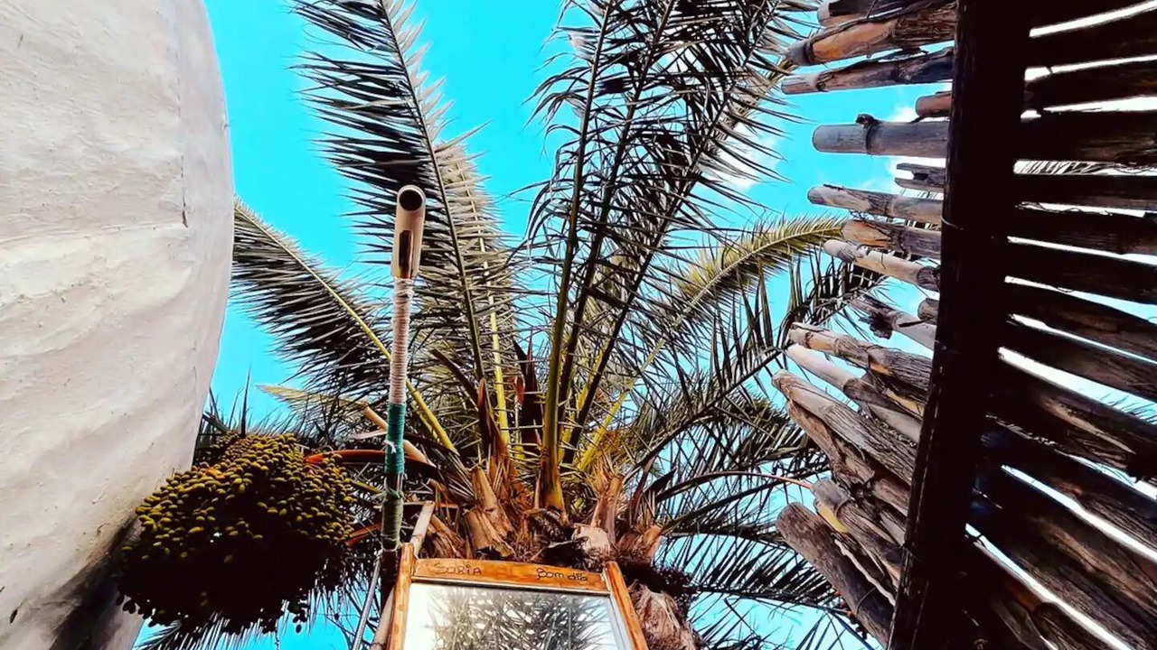 Photo of Outdoor in Agaete