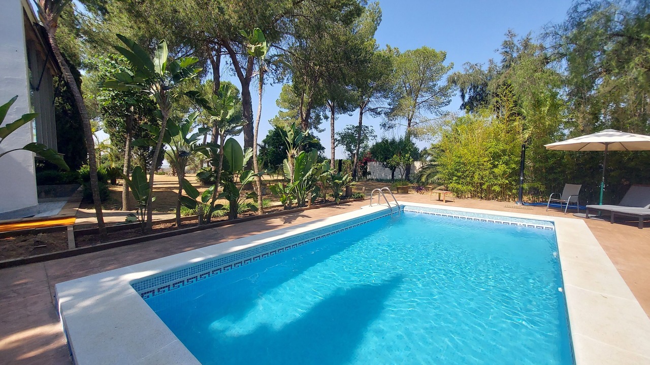 Photo of Outdoor in Espartinas