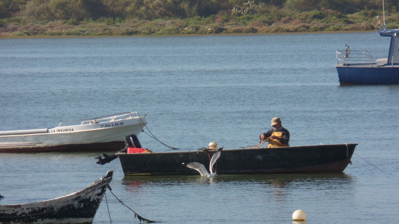 Photo of Outdoor in El Rompido