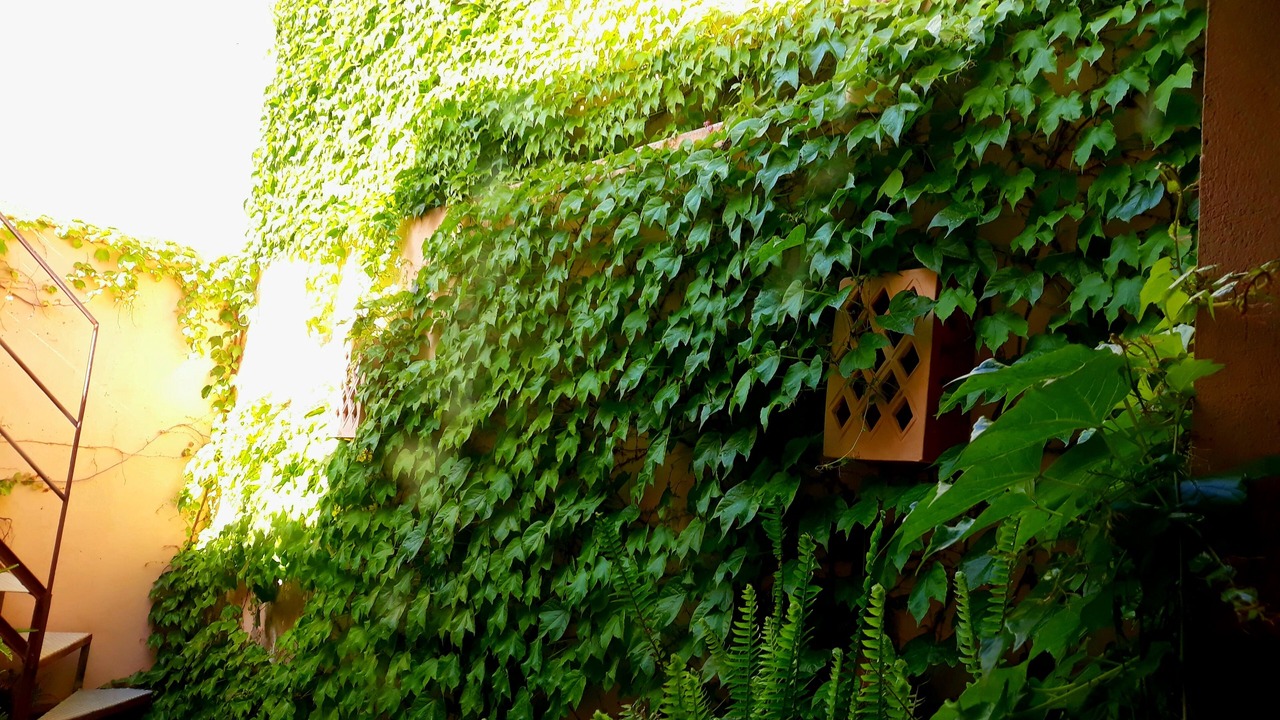Photo of Outdoor in El Rompido