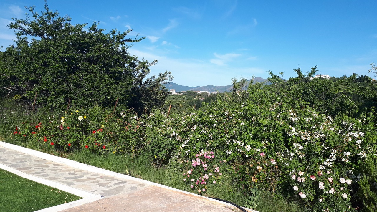 Photo of Outdoor in Gaucin