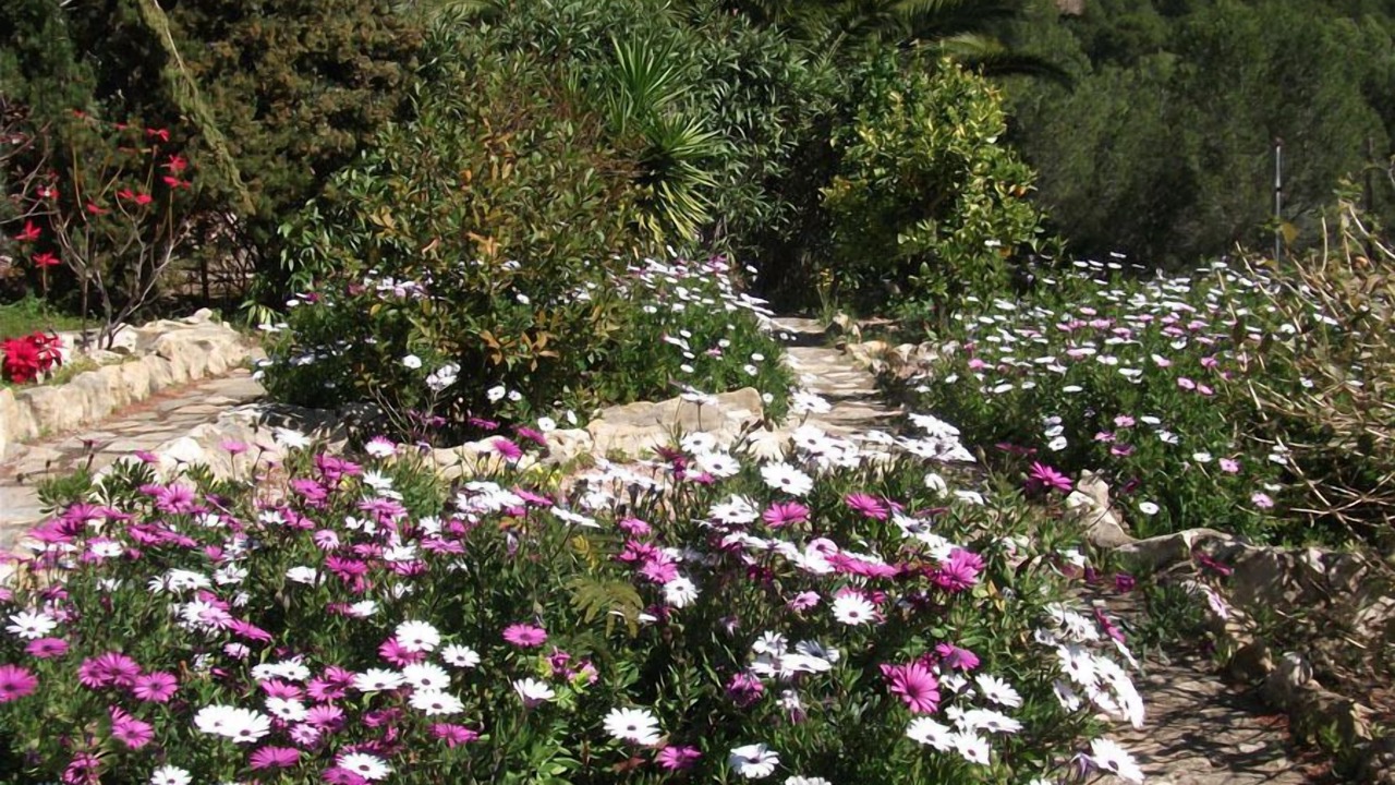 Photo of Outdoor in Bernia