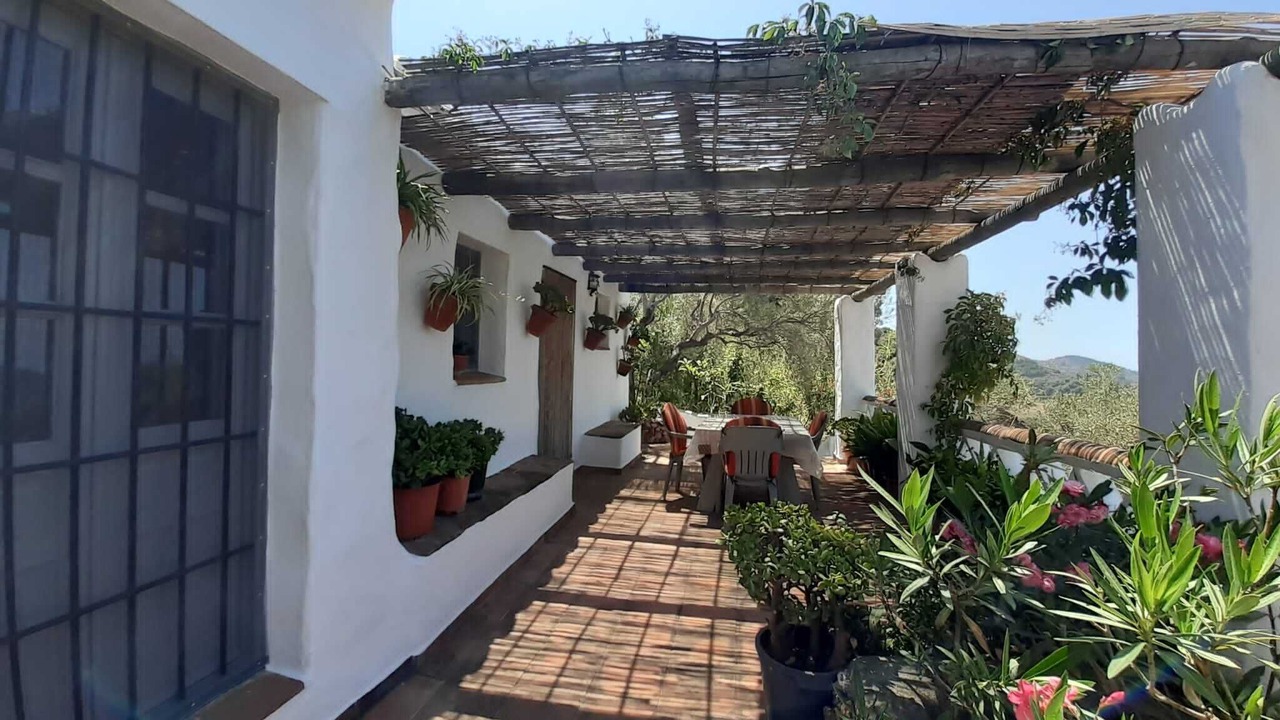 Photo of Outdoor in Torrox