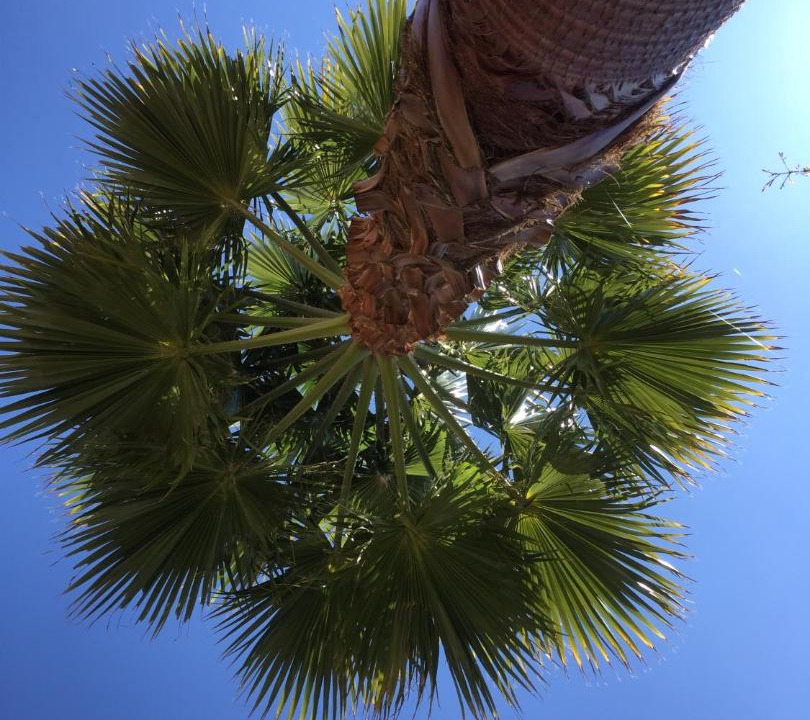 Photo of Outdoor in Costa Esuri