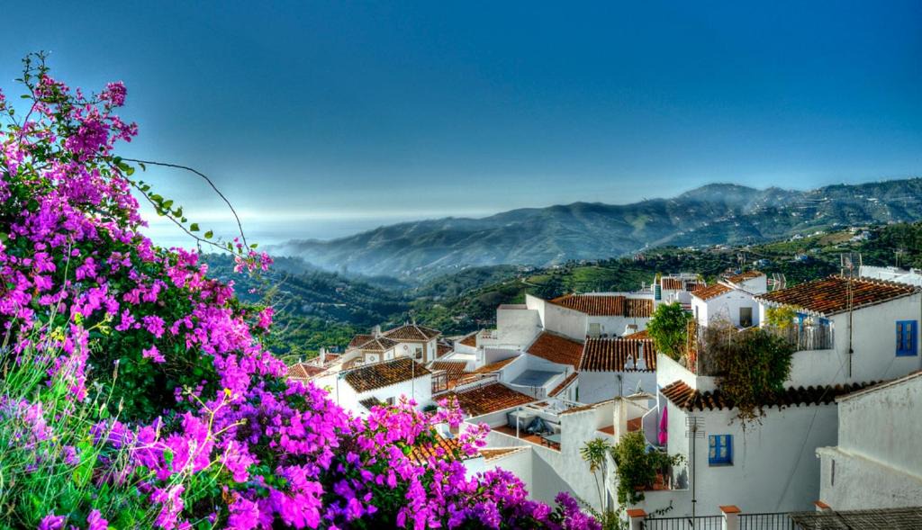 Photo of Others in Frigiliana