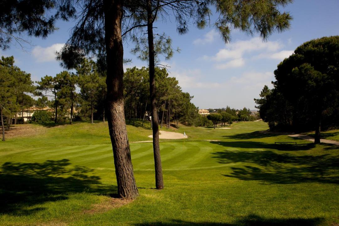 Photo of Others in Islantilla
