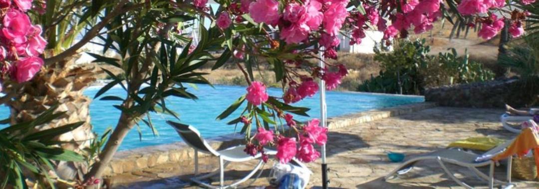 Photo of Others in El Pozo de los Frailes