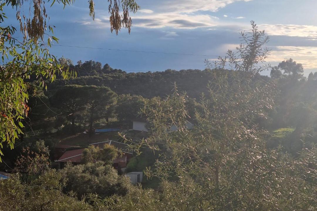 Photo of Others in Constantina