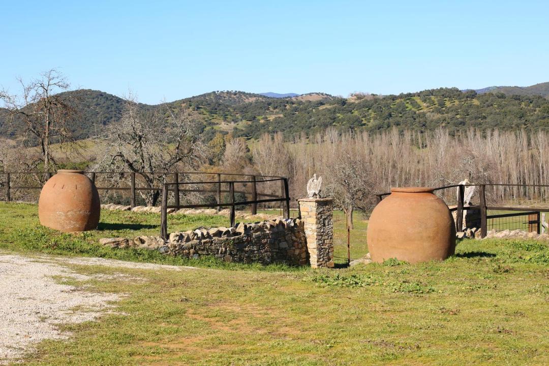 Photo of Others in Constantina
