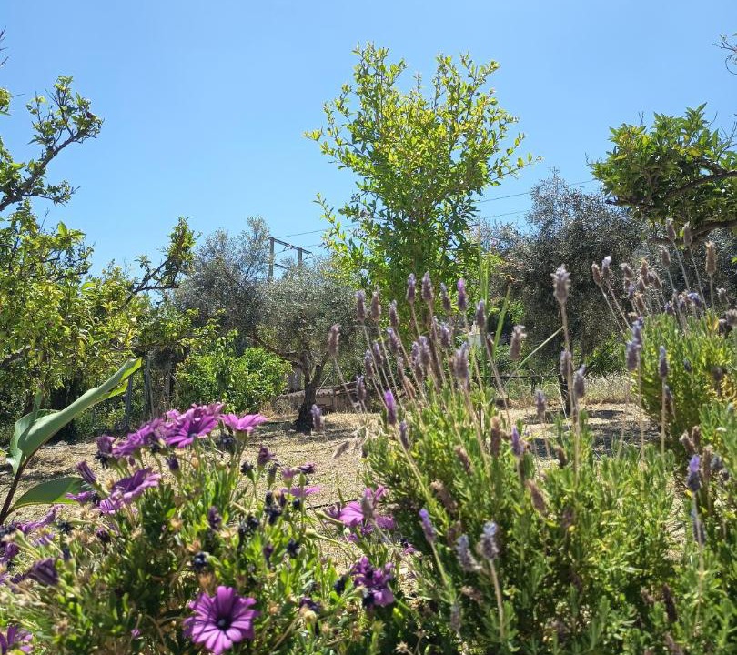 Photo of Outdoor in Valle de Abdalagis
