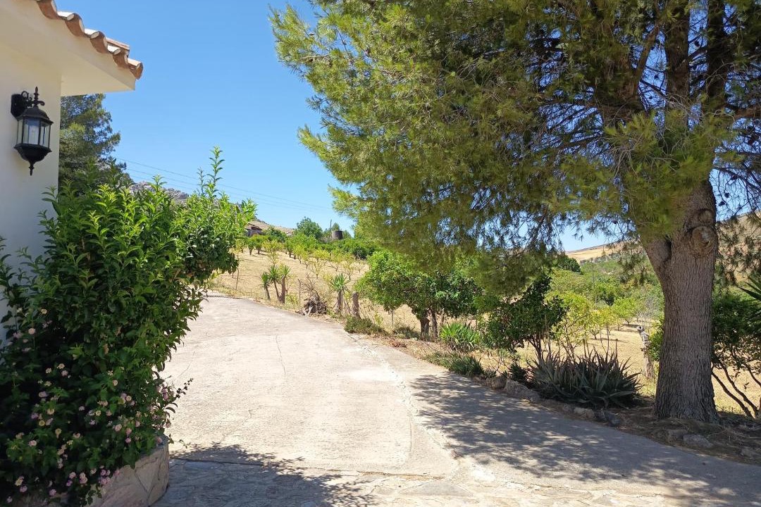 Photo of Others in Valle de Abdalagis