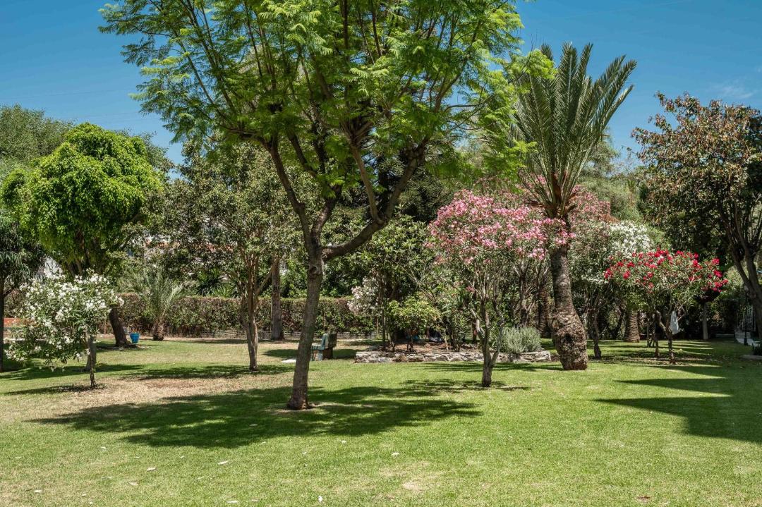 Photo of Others in La Cala del Moral