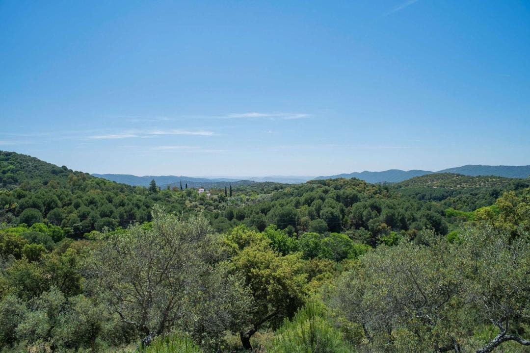 Photo of Others in Cazalla De La Sierra