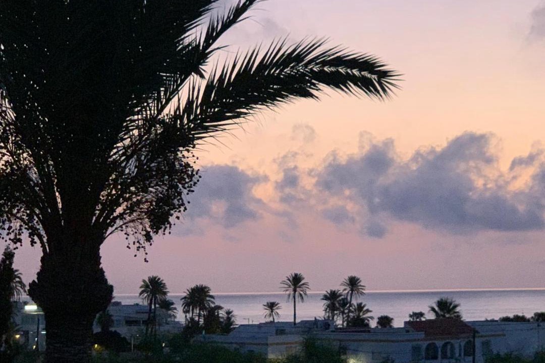 Photo of Others in Mojacar
