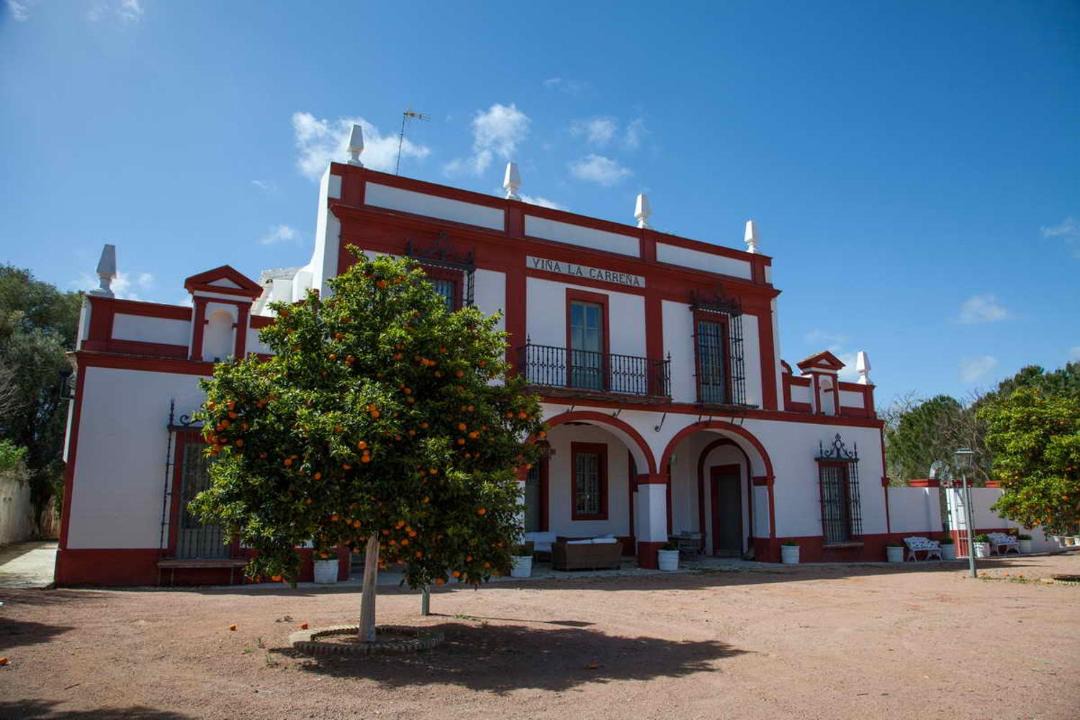 Photo of Others in Jerez de la Frontera