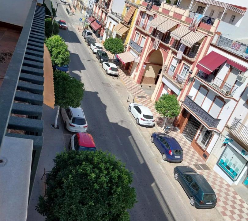 Photo of Others in Cantillana
