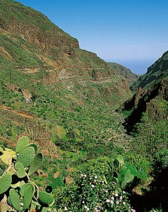 Photo of Others in Aguimes