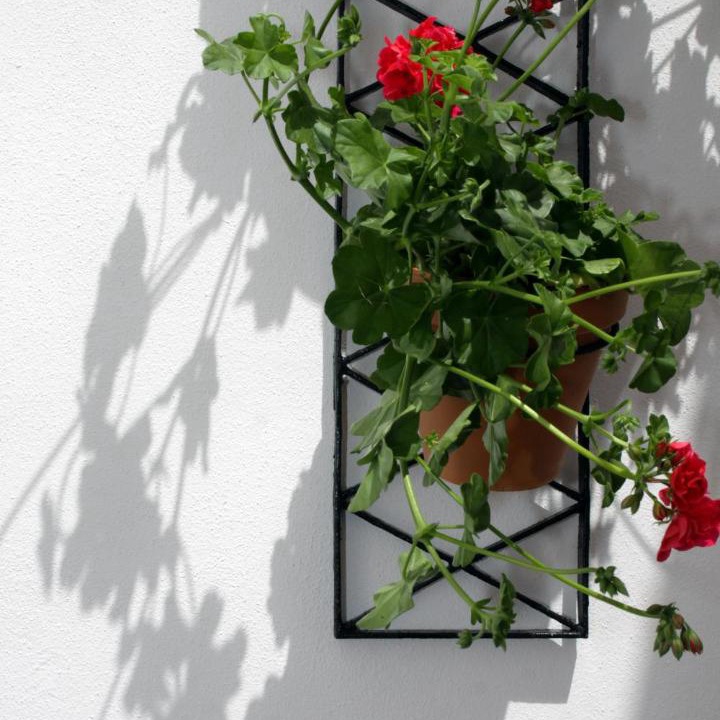 Photo of Others in Cordoba Old City